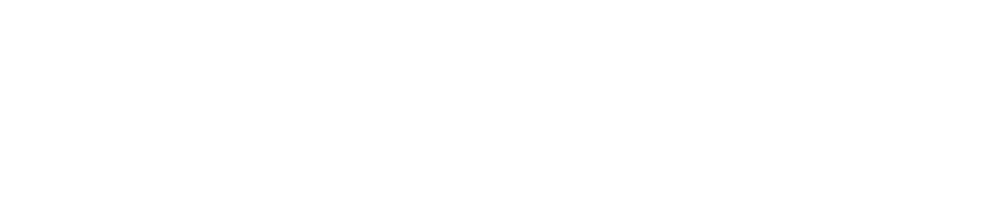 Doolin Logo